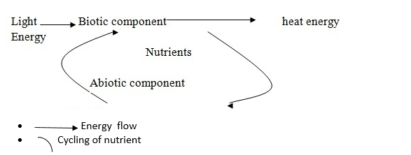 TOPIC 6: ECOLOGY | BIOLOGY FORM 6