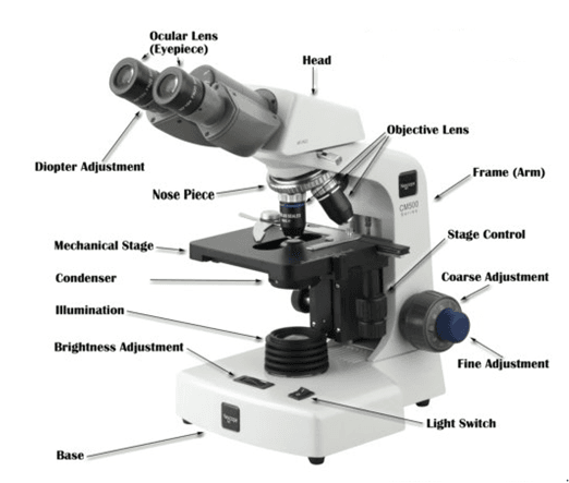 Microscope 1440507960293