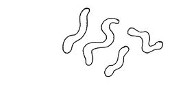 Bacteria 1457691886133