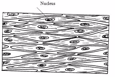 Nucleus 1457505440621