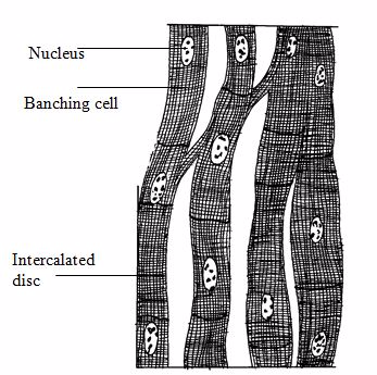 Nucleus 1457505668156