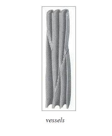vessel 1449210221151