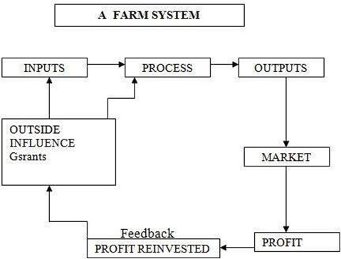 042423 0605 AGRICULTURA1