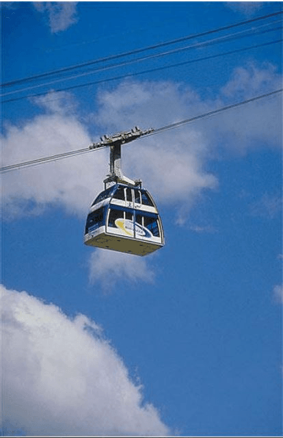 car 1449399596872