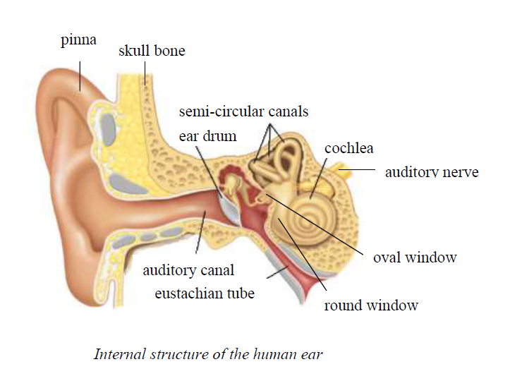 ear 1449470764331