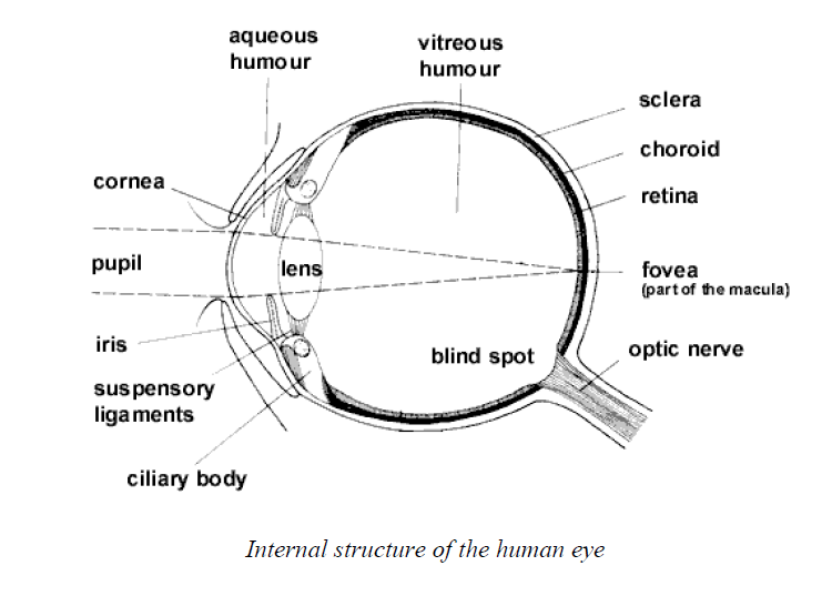 eye 1449468622679
