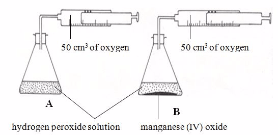 Flask 1455270446714