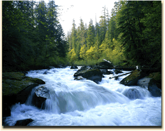 Image411 1472552594806
