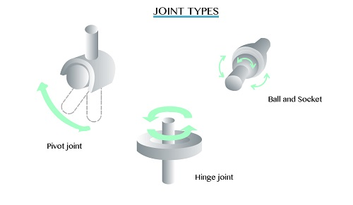 Joints 1451484458699