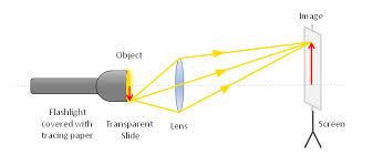 Lantern 1456047610024