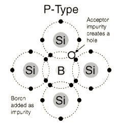 P Type 1450009083883