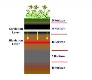 soil profile