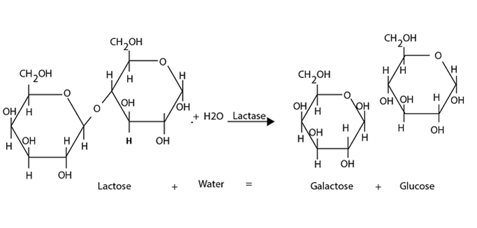 051023 0440 TOPIC1CYTOL11
