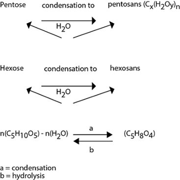 051023 0440 TOPIC1CYTOL13