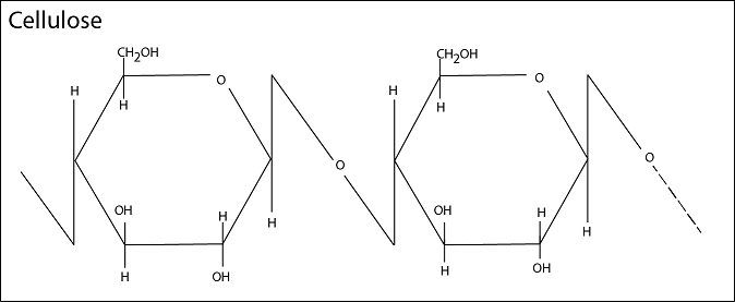 051023 0440 TOPIC1CYTOL17
