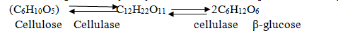 051023 0440 TOPIC1CYTOL18