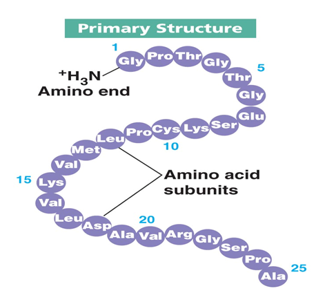 051023 0440 TOPIC1CYTOL24