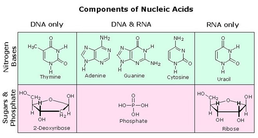 051023 0440 TOPIC1CYTOL32