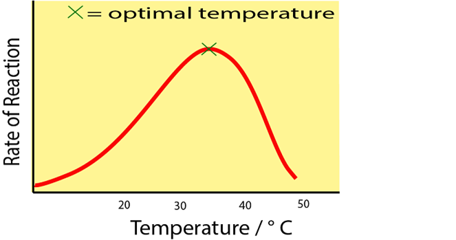 051023 0440 TOPIC1CYTOL36