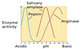 051023 0440 TOPIC1CYTOL38