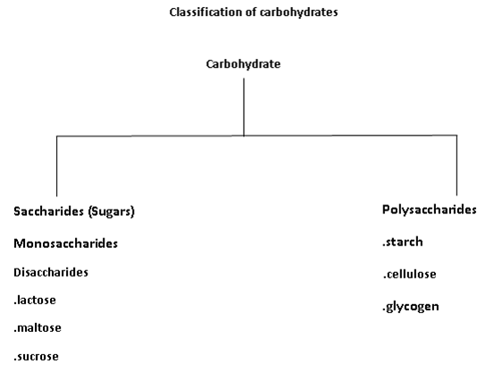 051023 0440 TOPIC1CYTOL5