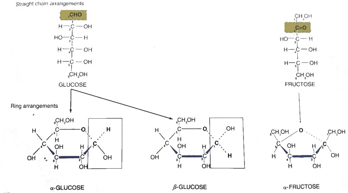 051023 0440 TOPIC1CYTOL7