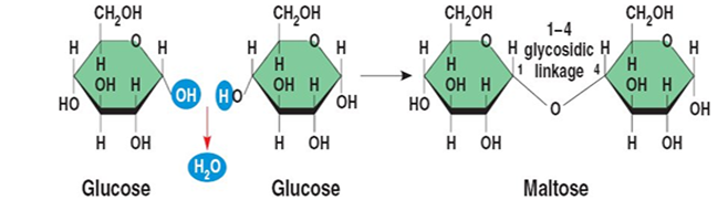 051023 0440 TOPIC1CYTOL9
