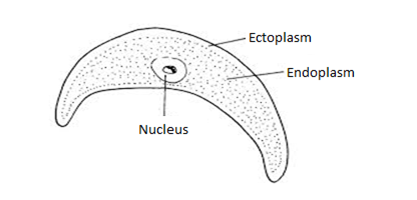 051023 0451 Topic3Natur20