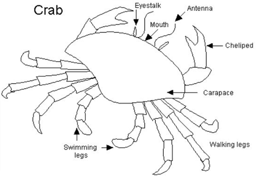 051023 0451 Topic3Natur64