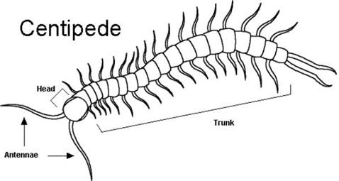 051023 0451 Topic3Natur65
