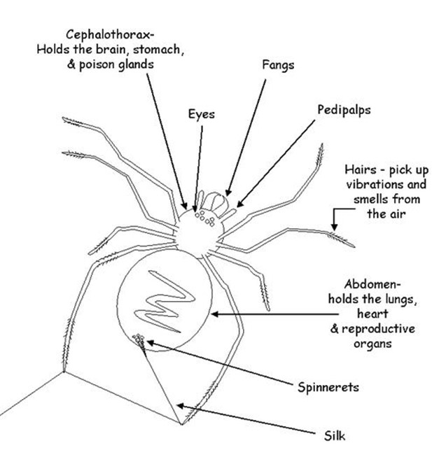 051023 0451 Topic3Natur67