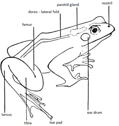 051023 0451 Topic3Natur72