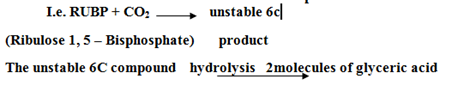 051023 0738 TOPIC5NUTRI17
