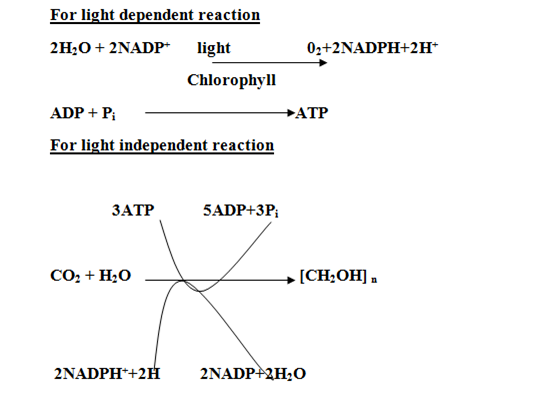 051023 0738 TOPIC5NUTRI19