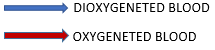 051023 0809 Topic1Trans12
