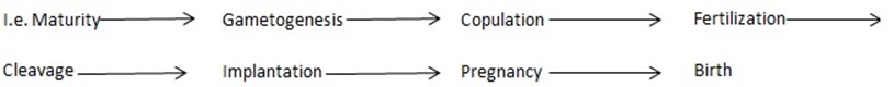 051023 0855 Topic3Repro6