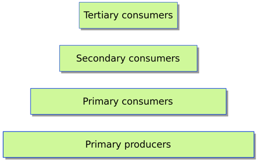 051023 1007 Topic6Ecolo3