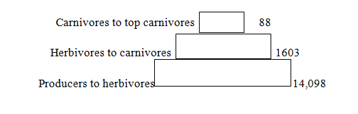 051023 1007 Topic6Ecolo6