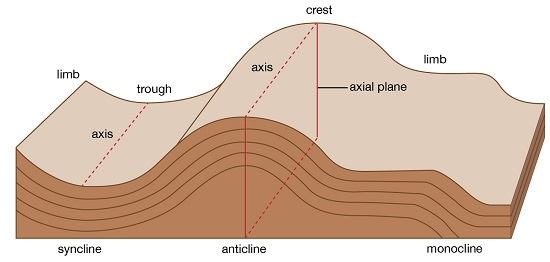Parts Of A Fold - Geography Form Two