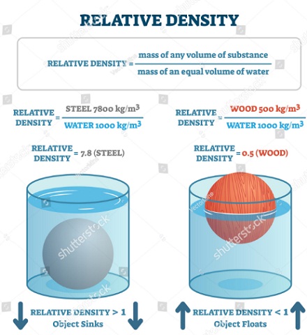 Relative Density-Phy Form Four