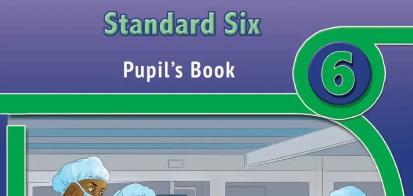 Social Studies Standard Six